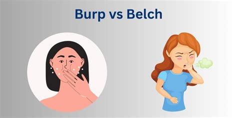 burp|burp meaning.